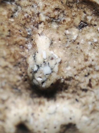 พระสมเด็จเนื้อหามวลสารเต็มครับ รูปที่ 5