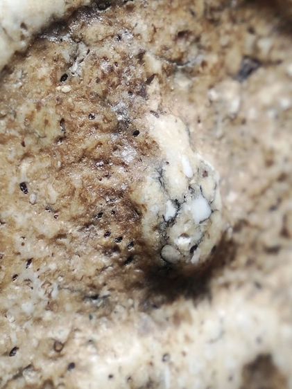 พระสมเด็จเนื้อหามวลสารเต็มครับ รูปที่ 6