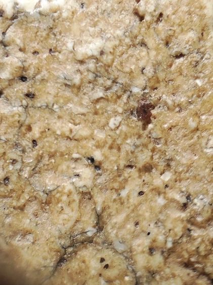 พระสมเด็จเนื้อหามวลสารเต็มครับ รูปที่ 14