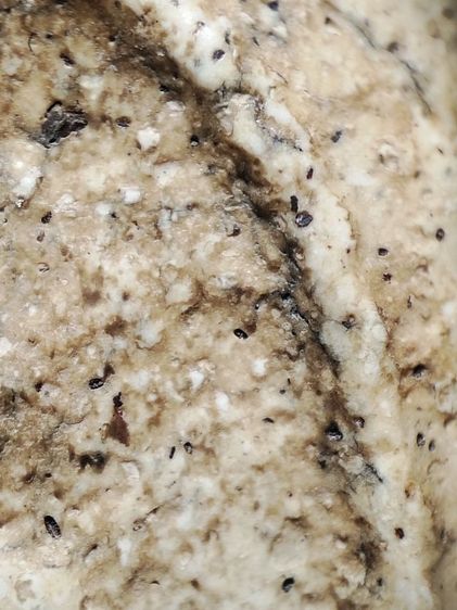 พระสมเด็จเนื้อหามวลสารเต็มครับ รูปที่ 13