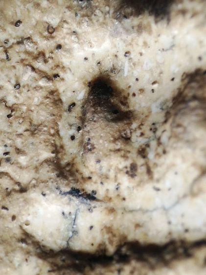 พระสมเด็จเนื้อหามวลสารเต็มครับ รูปที่ 9