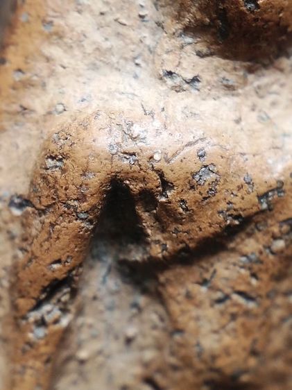 ❌ปิดครับ❌นางพญาพิษณุโลกเนื้อดินครับ รูปที่ 8