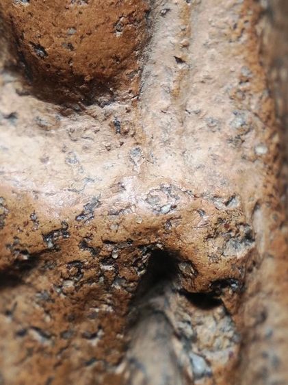 ❌ปิดครับ❌นางพญาพิษณุโลกเนื้อดินครับ รูปที่ 10