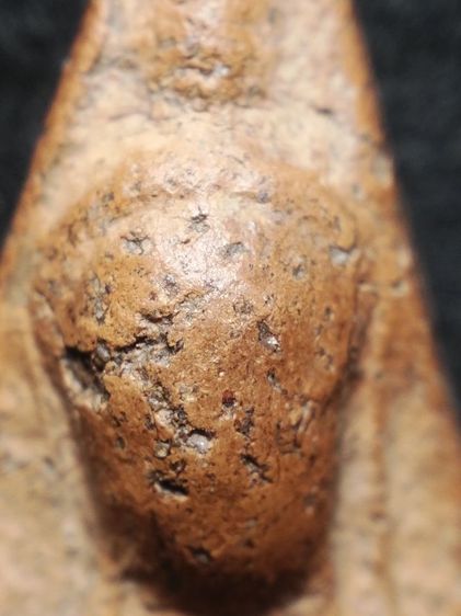 ❌ปิดครับ❌นางพญาพิษณุโลกเนื้อดินครับ รูปที่ 5