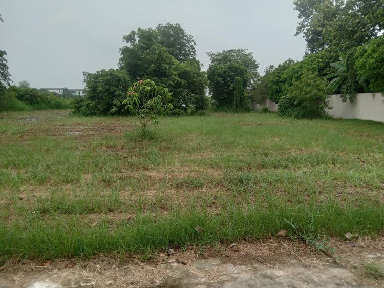 ขายที่ดินเปล่าติดทะเลสาบขนาดใหญ่ พื้นที่ 235 ตารางวา อยู่ในโครงการหมู่บ้านเดอะลากูน 1 สามโคกปทุมธานี รูปที่ 2