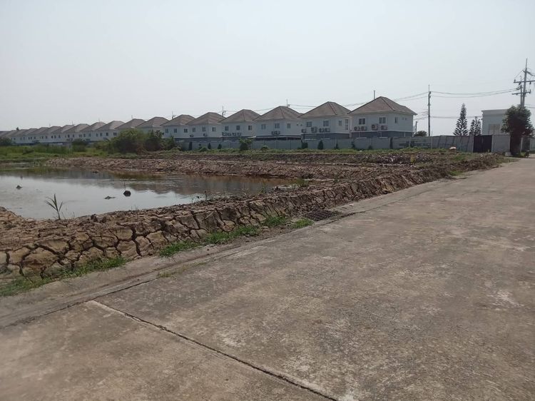 ขายที่ดินเปล่า 2 ไร่ ติดถนนคอนกรีต อยู่ในซอยเทศบาลบางปู 83 รูปที่ 2