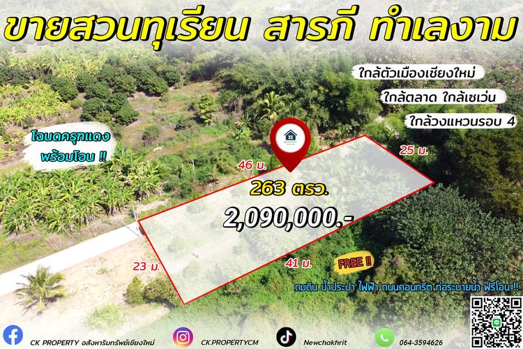 ายที่ดิน พร้อมสวนทุเรียน สวนผสมต่างๆอีกมากมาย ทำเลสวย สารภี เชียงใหม่