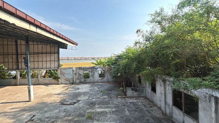 ขาย หรือ ให้เช่า โกดัง พื้นที่สีเขียว 300 ตร.ว. ซอยธนสิทธิ์ 6 บางปลา บางพลี สมุทรปราการ รูปที่ 2