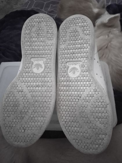 ส่งต่อจ้า รองเท้าผ้าใบ adidas stan smith size 41.5 รูปที่ 4