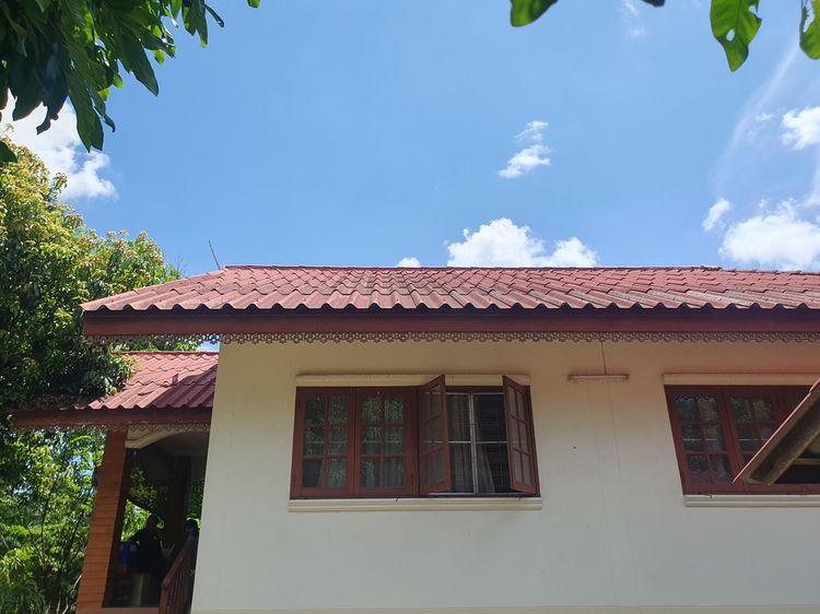 ขายด่วน ที่ดินน้ำไม่ท่วม สันป่าตอง 1 ไร่สวนลำใย แถมบ้าน 2 นอน ใกล้คลองชลประทาน ใกล้ถนนแม่วาง กำลังบูมสุดขีด รูปที่ 4