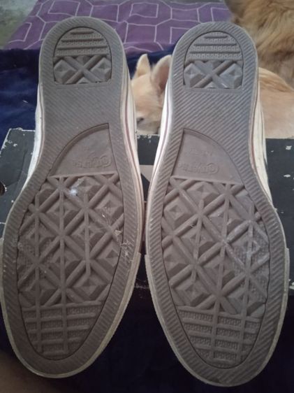 ส่งต่อ converse วันดาว size 42.5 รูปที่ 3