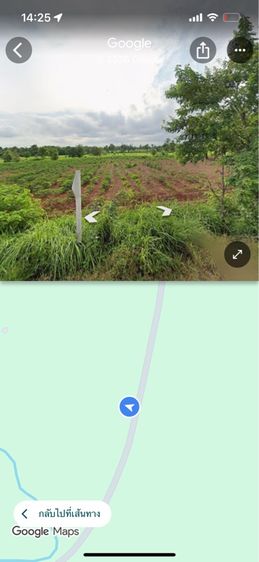 ใช่ ขายที่ดิน 10 ไร่ อ.เมืองนครพนม ติดถนน 2 เลน รูปที่ 3