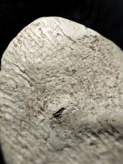 พระรอดลำพูนพิมพ์กลางเนื้อขาวครับ รูปที่ 16