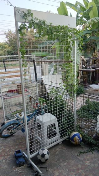 ชั้นแขวนสินค้า มีสองขนาด รูปที่ 3