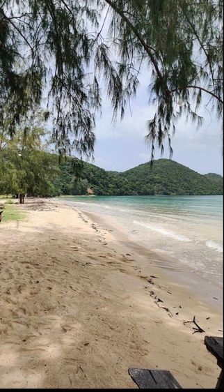 ใช่ ที่ดินติดทะเล ขนาดใหญ่ รูปที่ 3