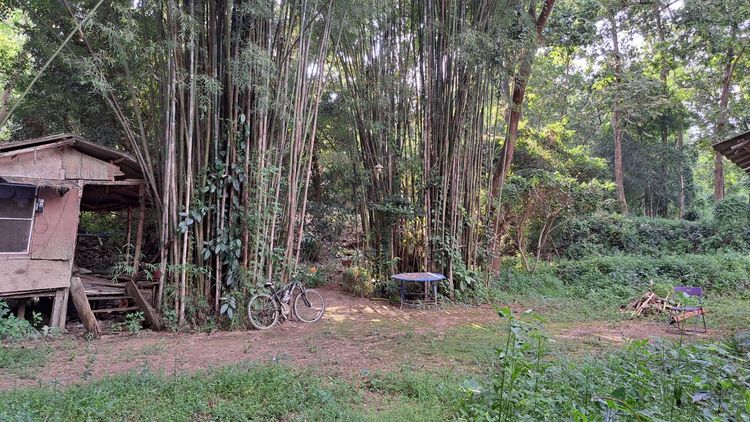 ที่ดินหน้ามหาวิทยาลัยเชียงใหม่ 1-3-31 ไร่ รูปที่ 4