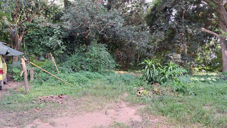 ที่ดินหน้ามหาวิทยาลัยเชียงใหม่ 1-3-31 ไร่ รูปที่ 2