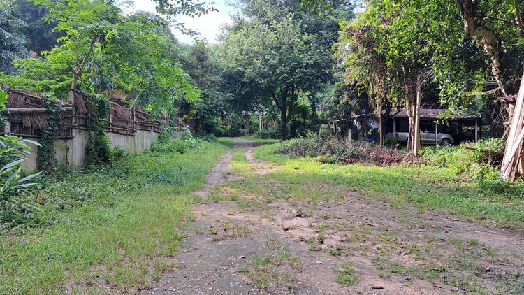 ที่ดินหน้ามหาวิทยาลัยเชียงใหม่ 1-3-31 ไร่