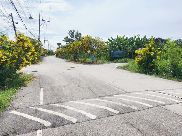 ขายที่ดินถมแล้ว ทำเลศาลายา-คลองโยง เหมาะสร้างบ้าน ใกล้ ม.มหิดล และศูนย์การค้า รูปที่ 3