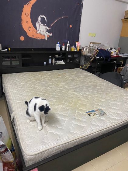 เตียงขนาด 6 ฟุตพร้อมฟูกที่นอนสปริง รูปที่ 5