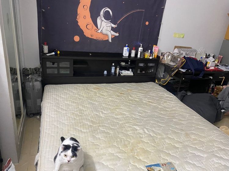 เตียงขนาด 6 ฟุตพร้อมฟูกที่นอนสปริง รูปที่ 4