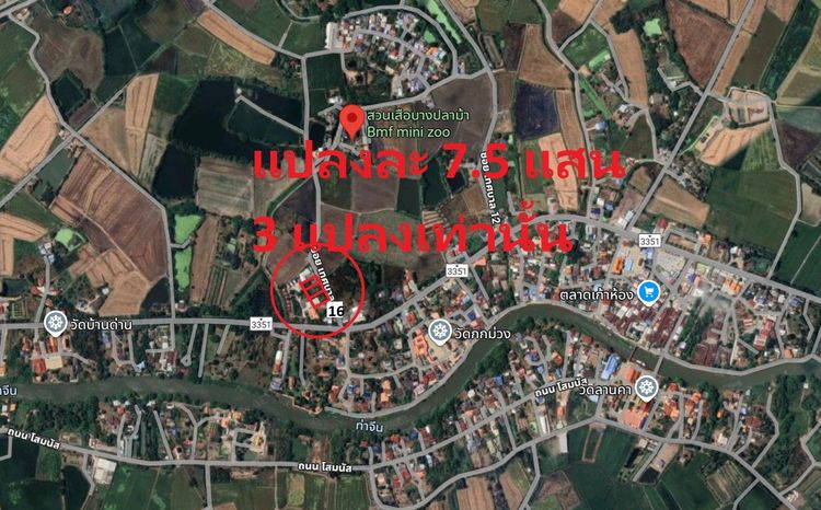 ขาย ที่ดิน ทำเลดี ที่ถมแล้ว ใกล้ถนนลาดยาง เส้น เก้าห้อง 3351 - บางแม่หม้าย อยู่ตรงข้ามวัดกกม่วง ปากทางเข้าสวนเสือ  บางปลาม้า รูปที่ 4