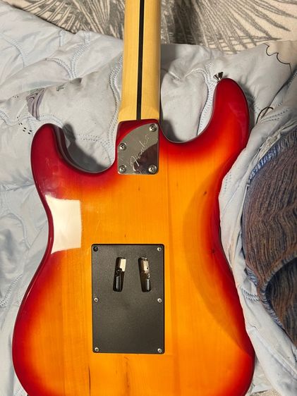 fender  รูปที่ 6