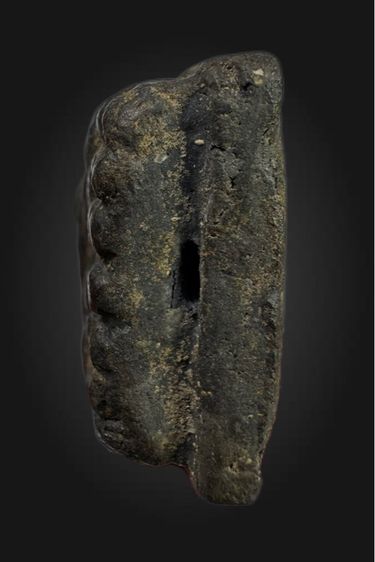 หลวงปู่ทวด รูปที่ 3