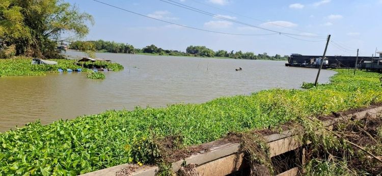 ขายที่ดินติดแม่น้ำเจ้าพระยา ทำเลดี รูปที่ 4