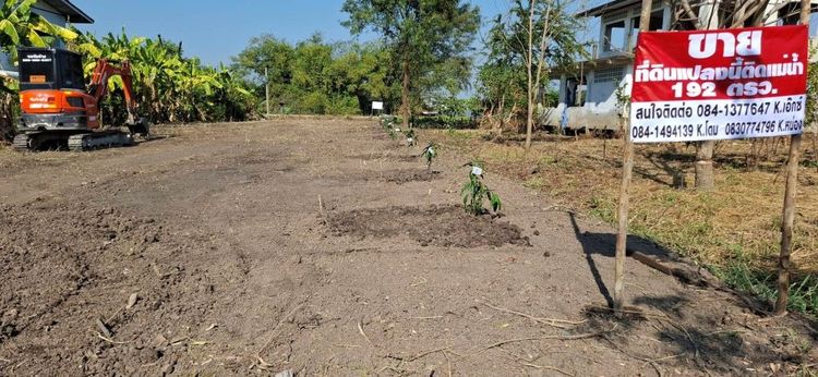 ขายที่ดินติดแม่น้ำเจ้าพระยา ทำเลดี รูปที่ 2