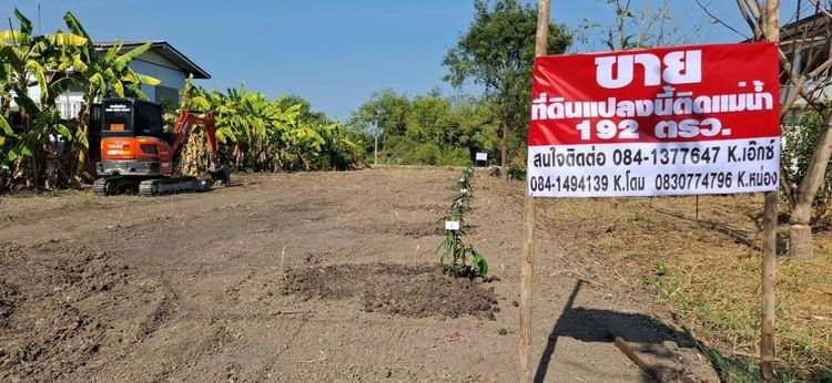 ขายที่ดินติดแม่น้ำเจ้าพระยา ทำเลดี รูปที่ 3