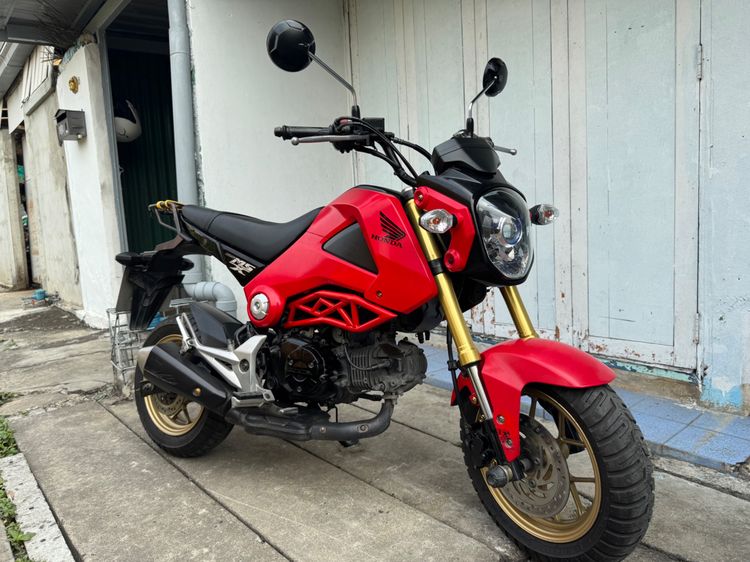Honda MSX125 Standard รถพร้อมใช้งาน