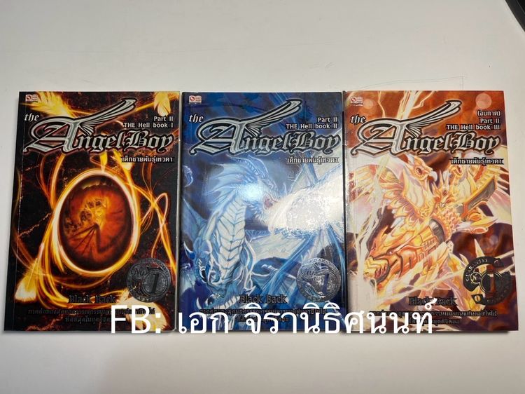 เด็กชายพันธุ์เทวดา รูปที่ 3