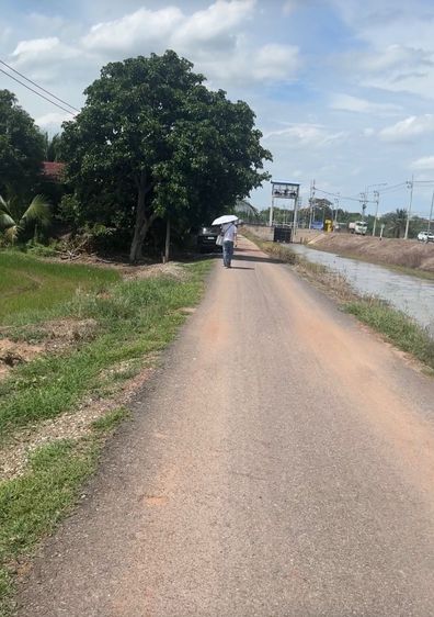 ที่นาสวยติดถนนสาธารณะประโยชน์ ติดลำน้ำ ต.ก้อนแก้ว อ.คลองเขื่อน จ.ฉะเชิงเทรา ทางไปวัดสมาน รูปที่ 4