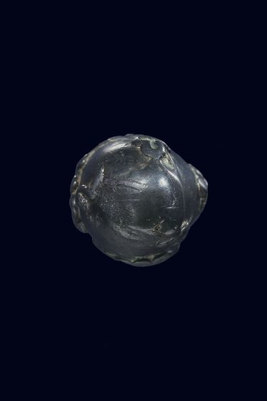 ลูกสกด รูปที่ 6