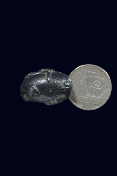 ลูกสกด รูปที่ 4