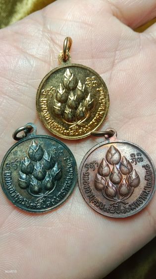 หลวงปู่แหวน ปี 2528 รูปที่ 7