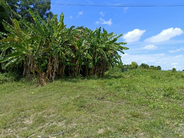 ใช่ ขายที่ดินโฉนดครุฑแดง รูปที่ 2