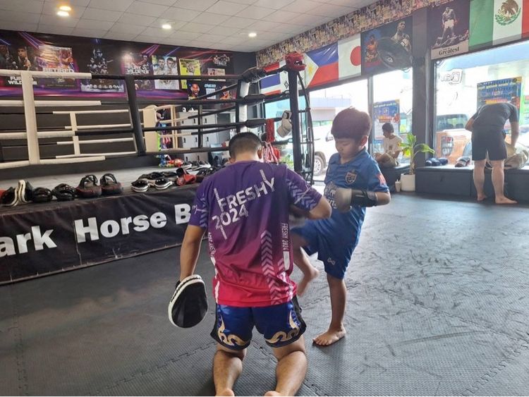 ขายเวทีมวยมือสองสภาพใหม่ รูปที่ 3