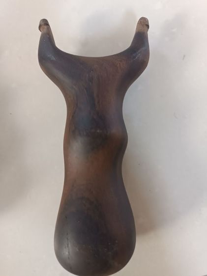 หนังกระติก ไม้ประดู่ รูปที่ 2