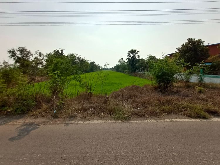 ขายที่ดินใกล้วัดปากกราน อยุธยา เนื้อที่ 5 ไร่ 3 งาน 84 ตร.ว. เหมาะทำการเกษตร หรือสร้างบ้านพัก รูปที่ 4