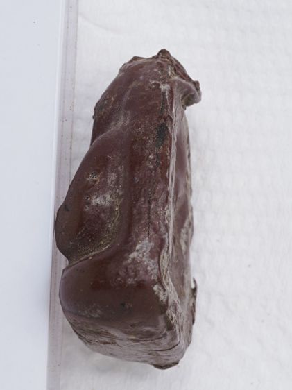 พระปิดตาเนื้อผง 19116818 รูปที่ 4