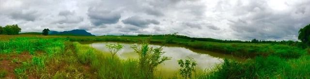 ขายที่ดิน ราคาพิเศษ จังหวัดเชียงราย รูปที่ 3
