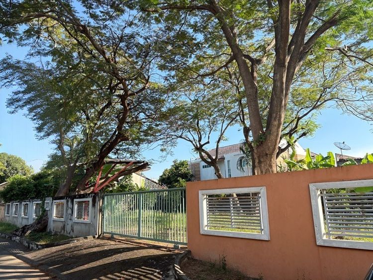 ขายที่ดินแปลงสวย ซอยแจ้งวัฒนะ 14 เหมาะทำที่พักอาศัย รูปที่ 2