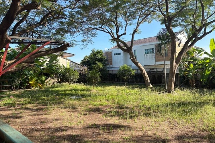 ขายที่ดินแปลงสวย ซอยแจ้งวัฒนะ 14 เหมาะทำที่พักอาศัย รูปที่ 4