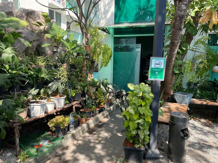 ร้านอาหาร รูปที่ 6