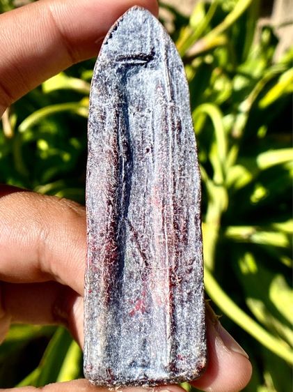 พระร่วงหลังรางปืน กรุวัดมหาธาตราชวรวิหาร กรุวัดพระปรางค์ สุโขทัย รูปที่ 4