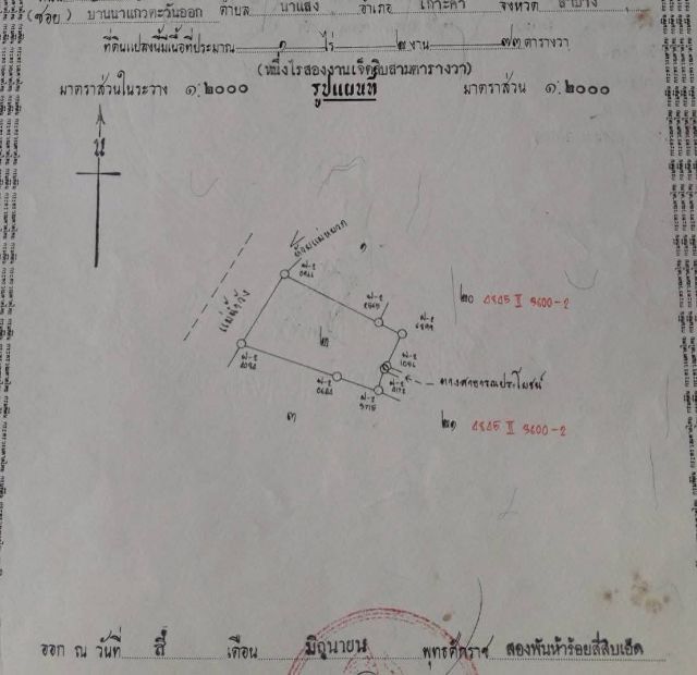 ที่สวน1ไร่2งาน73ตรว 300,000 ฟรีโอน​ ที่สวยมาก