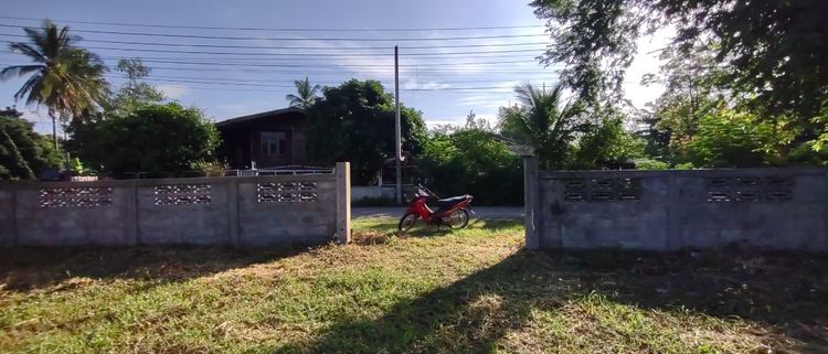 ที่สำหรับสร้างบ้าน 115ตรว 490,000ฟรีโอน(ผ่อนได้)​อยู่บ้านนาแก้วตะวันออก