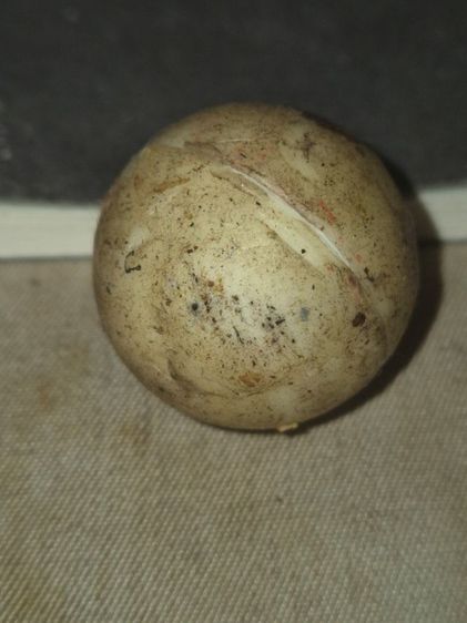 ลูกอมเกจิ รูปที่ 5